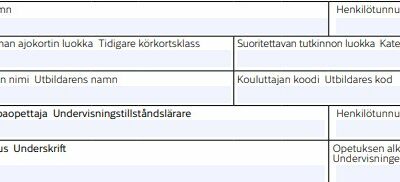E100 lomakkeen täyttäminen